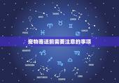 寄小狗用什么物流便宜(推荐几种经济实惠的寄宠物方式)