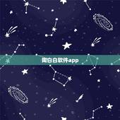 陶白白软件app，陶白白是什么意思？