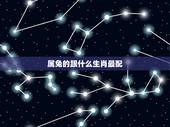 属兔的跟什么生肖最配，兔和什么生肖更佳配偶