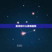 属龙和什么属相最配，属龙的和什么生肖般配