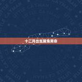 十二月出生属兔男命，属兔的人12月出生更好