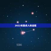 2022年属虎人的运程，2022年生肖运势