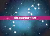 属牛跟属蛇属相合不合，属牛和属蛇合不合的来