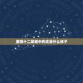 面馍十二属相中的虎是什么样子，十二生肖老虎的故事是什么？