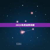 2022年虎运势详解，属虎2022年幸运色