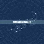 属猪6月份运势2022，2022属猪人的全年运势如何