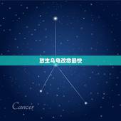 放生乌龟改命最快，乌龟养到什么时候放生最好？