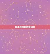 属牛的婚姻感情问题，属牛婚姻运程，属牛的今年运势