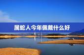 属蛇人今年佩戴什么好，属蛇的生肖带什么吊坠比较好