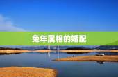 兔年属相的婚配，属兔的属相婚配表，属兔的和什么属相最配，属兔的属相婚配