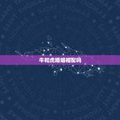 牛和虎婚姻相配吗，虎和牛属相合不合
