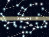 属相三合表6合，牛的六合生肖