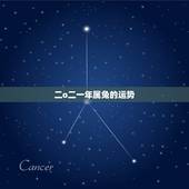 二o二一年属兔的运势，1975属兔人2022 年运势
