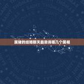 属猪的结婚那天最忌讳哪几个属相，属猪女和属鸡男结婚当天忌哪些属相？