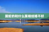 属蛇的和什么属相结婚不好，2个属蛇的结婚忌什么属相