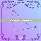 男属兔和什么属相最配夫妻，属兔的男人和什么属相最配