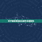 双子座蛇男和处女座牛女婚配吗，双子座男和处女座女相配吗？