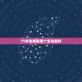 75年兔婚配哪个生肖最好，75年属兔的属相婚配表和牛配吗