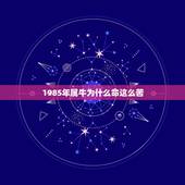 1985年属牛为什么命这么苦 85年牛的性格怎么样