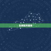 生肖配对查询，生肖配对查询！