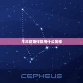 牛年结婚伴娘用什么属相，属牛和属兔的结婚 伴郎伴娘需要什么属相才不会互