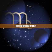 属虎婚配属相龙好不，男属虎和女属龙的属相婚配合适吗
