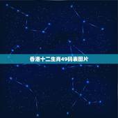 香港十二生肖49码表图片，香港买马十二生肖图片