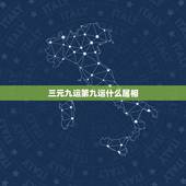 三元九运第九运什么属相，九运中最走运的四个生肖