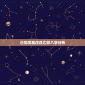 己卯戊辰戊戌乙卯八字分析，辛未己亥庚寅丁丑