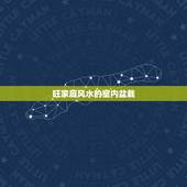 旺家庭风水的室内盆栽，家里养什么植物旺财