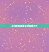 属相蛇妈和猪宝属相合不合，属相龙跟属相蛇相克吗？
