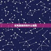 生肖属猪的和什么相配，生肖属兔的和什么相配