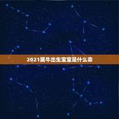 2021属牛出生宝宝是什么命，2021牛年是什么命年