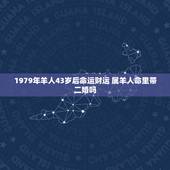 1979年羊人43岁后命运财运 属羊人命里带二婚吗