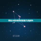 想生2023年的虎宝宝几月备孕，虎年几月份生宝宝命运最好2022