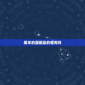 属羊的跟属鼠的相克吗，羊鼠在一起鼠得病