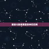 紫微斗数免费算命神巴巴网，紫微斗数免费算命