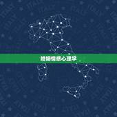 婚姻情感心理学，婚姻感情心理咨询