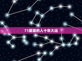 71属猪的人十年大运，1971年属猪男的一生运程