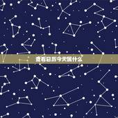 查看日历今天属什么，日历今天属什么生肖