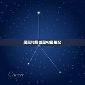 属鼠和属啥属相最相配，属鼠的和什么属相最配