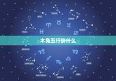 木兔五行缺什么，1975年属兔的五行属水又是木兔