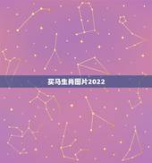 买马生肖图片2022，1978年属马的2022