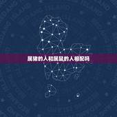 属猪的人和属鼠的人相配吗，1995属猪女与96属鼠男