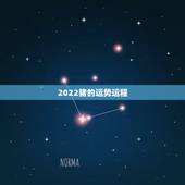 2022猪的运势运程，2021属猪人全年运势1971