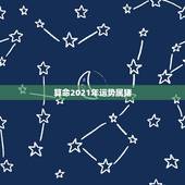 算命2021年运势属猪，属猪女2021年运势及运程每月运程