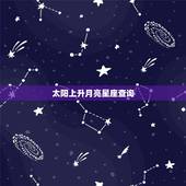 太阳上升月亮星座查询，查询太阳 月亮 上升星座~