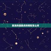属龙的跟属虎的婚配怎么样，属龙和属虎的相配吗