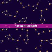 1991年五行什么属性，1963五行属性