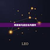 男属相马适合车内摆件，78年属马车上放什么摆件招财